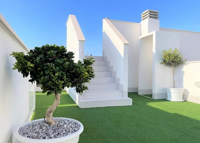 Your Spain P4 Appartement Torrevieja